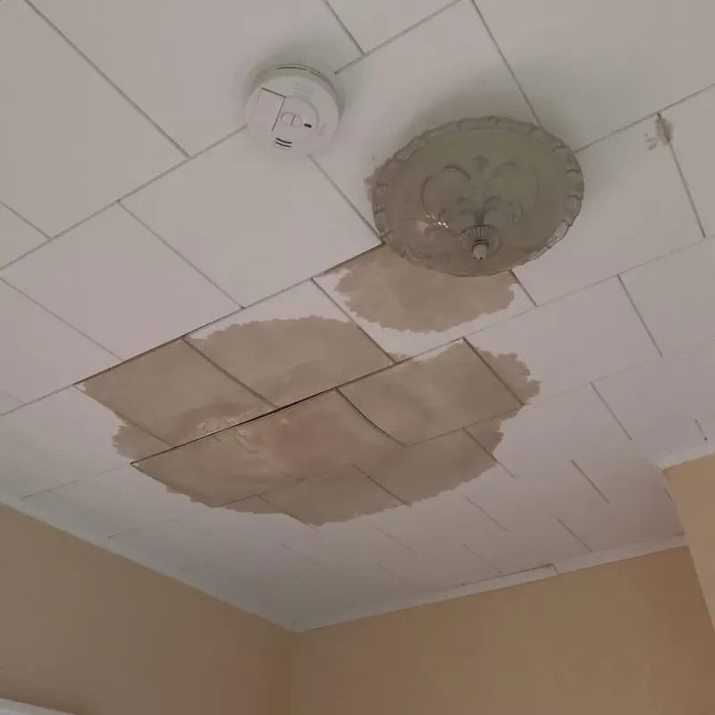 Ceiling Water Damage Repair in Cloquet, MN