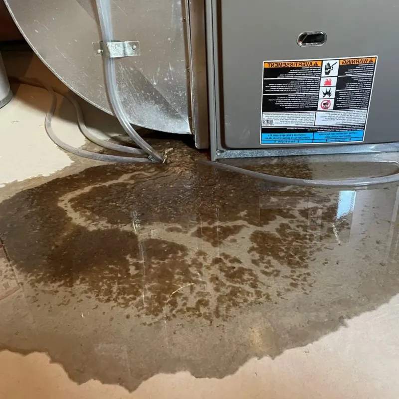 Pipe Burst and Leak Restoration in Cloquet, MN